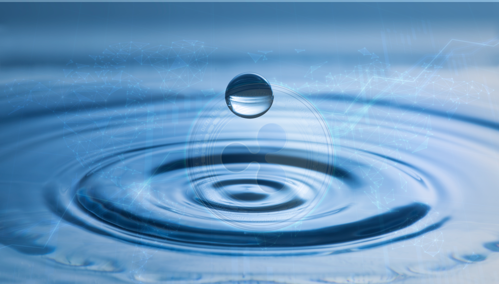 Ripple XRP in Court defending against SEC