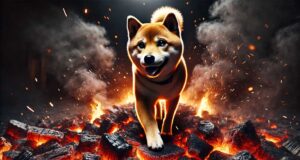 Shiba Inu walking on hot coal as SHIB burn rate surges.